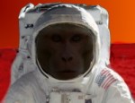 MarsMonkey